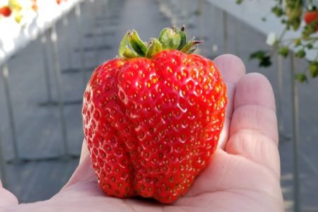 まあと工房