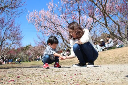 南部梅林フォトコンテスト結果発表